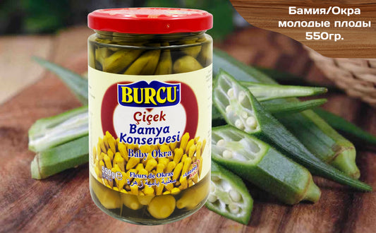 Burcu cicek bamya conservesia