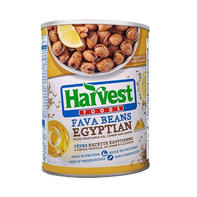 Harvest Egyptian Fava Beans