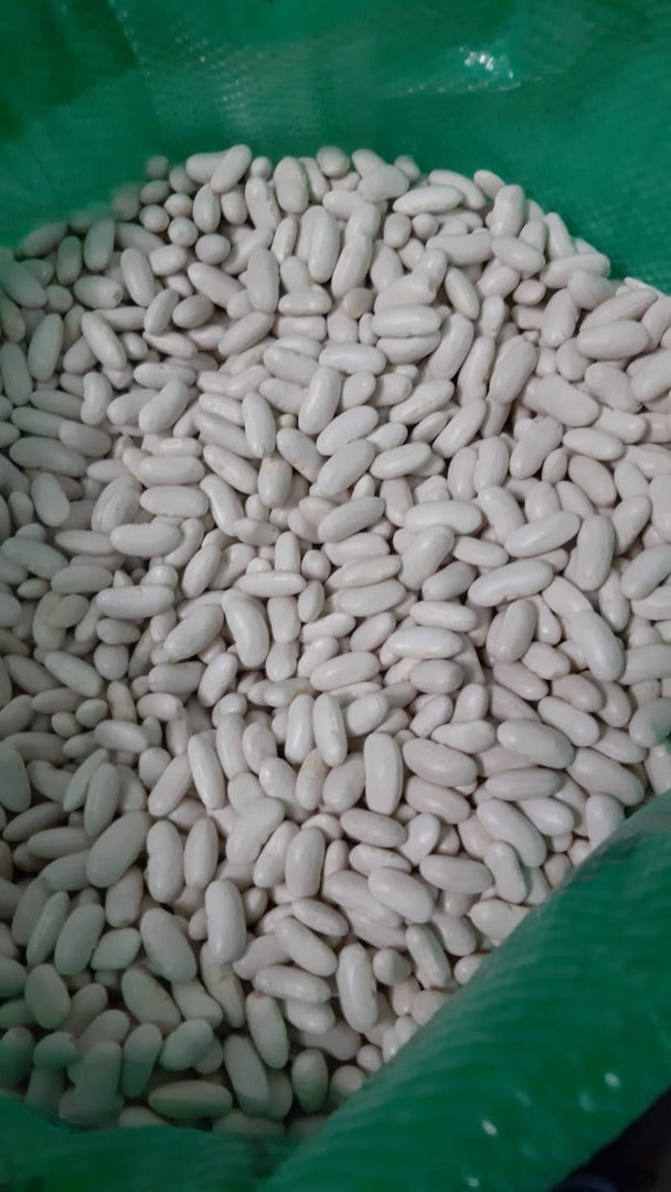 Fasole uscată 10 KG